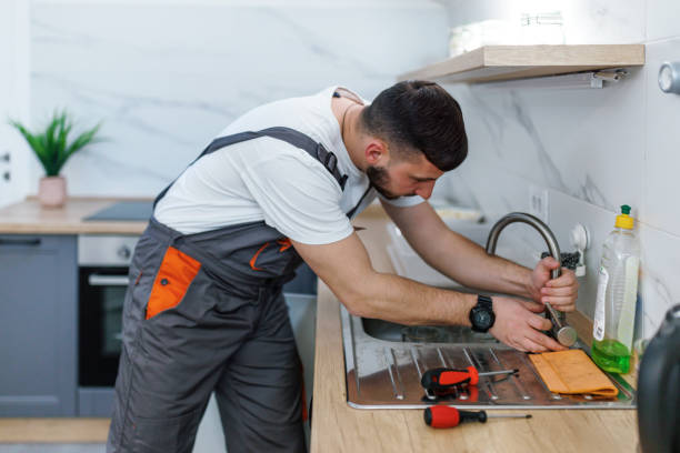 Best Best Plumbers Near Me  in Albion, IN