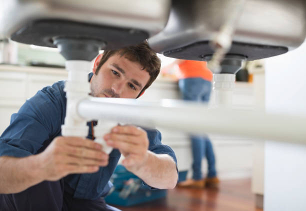 Best Toilet Repair Services  in Albion, IN
