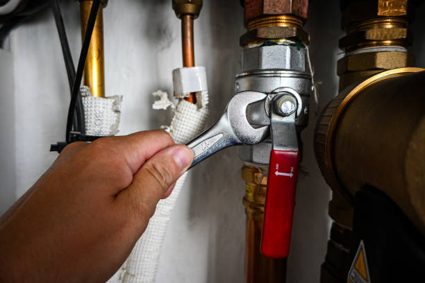 Best Affordable Plumbing Services  in Albion, IN